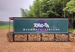 tokio-ba
